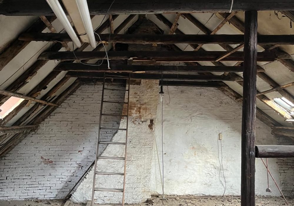 WhatsApp Image 2025-05-24 at 22.52.52 WhatsApp Image 2025-05-24 at 22.52.52